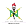NSBE UofC Logo